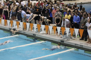 Lexie Marotta dives in after Julia Fogel during a relay while their team cheers them on. A total of seven school records were broken by the Gryphons at the state championships, including Marotta and Fogels girls relays. 
