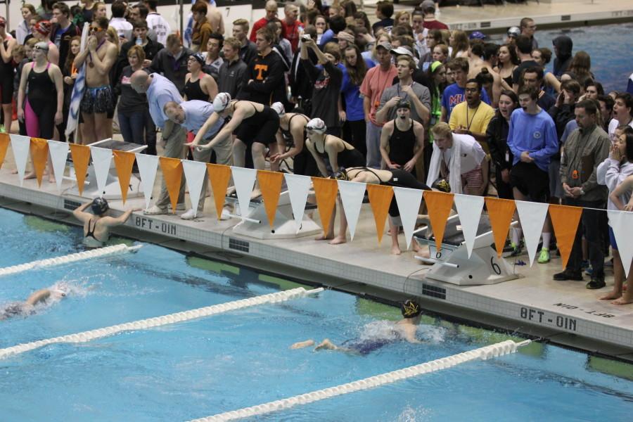 Lexie Marotta dives in after Julia Fogel during a relay while their team cheers them on. A total of seven school records were broken by the Gryphons at the state championships, including Marotta and Fogels girls relays. 