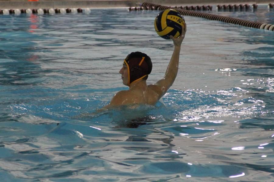 Junior+Jared+Whitaker+passes+to+a+teammate+in+a+game.+Whitaker+has+played+goalie+for+three+years+for+the+Gryphon+water+polo+team.