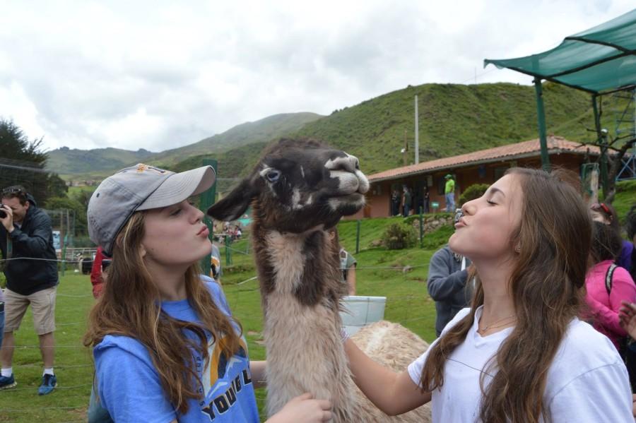 Freshmen Ann Wallace Scott and Kate Murphy kiss a llama at a local zoo in Peru. Students from the upper school ventured to Peru to partner with MedLife to bring medical care to low-income families. 