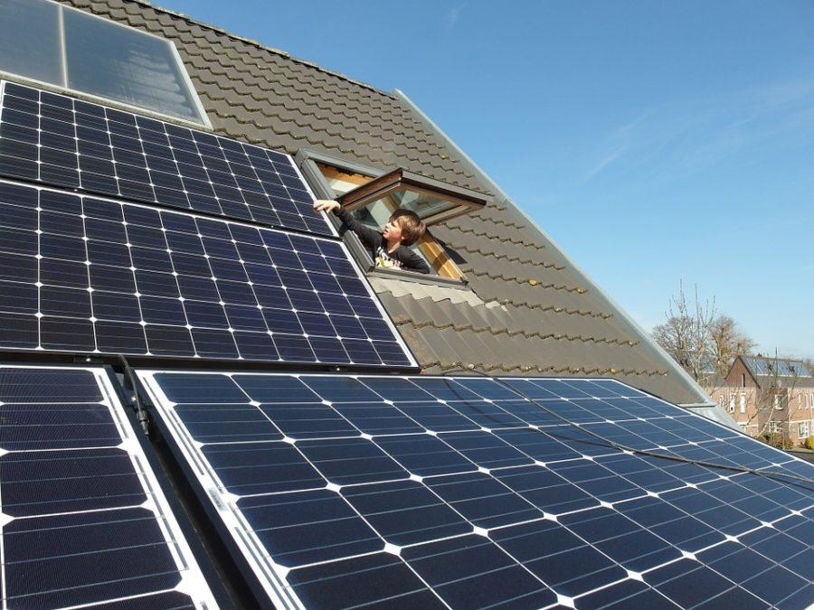 Solar panels sit on a roof while a young man touches them. A group of juniors began to contact green energy companies earlier this year.