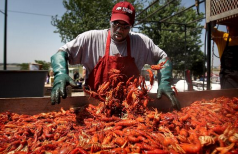 A ‘rajun’ cajun celebration