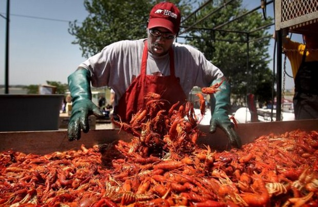 A man gathers several crawfish. Porter-Leaths Annual Rajun Cajun Crawfish Festival returned to Memphis on Sunday afternoon.