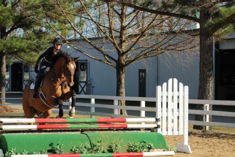 Unbridled success