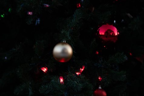 Where Do Christmas Trees Come From?