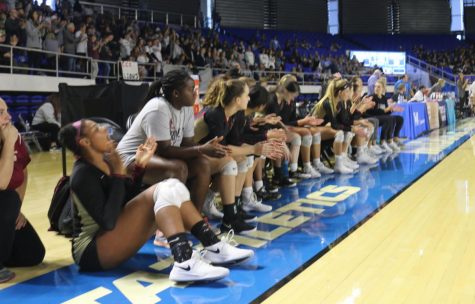 Gryphons’ Volleyball Claims State Title