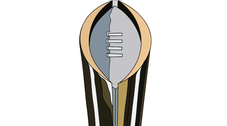 LSU and Clemson compete in their final game of the season for the National Championship trophy. 