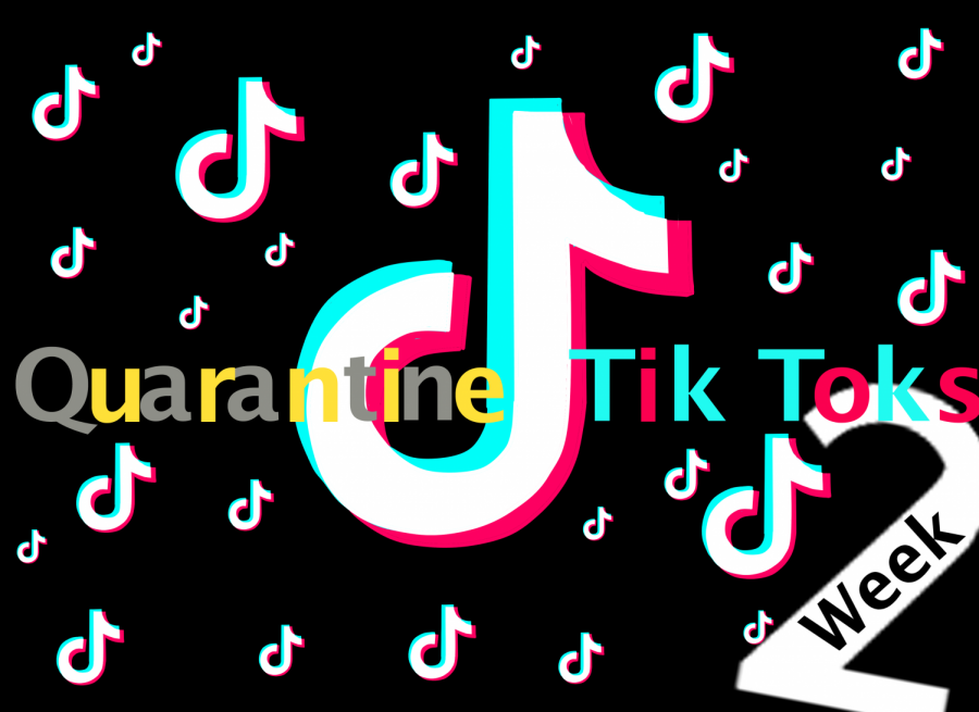 A recreation of the Tik Tok logo in reference to Keiaras series. 