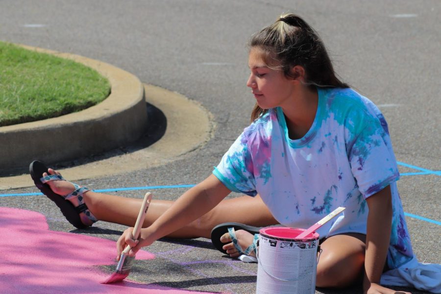 Sophia Manshack peacefully paints the background of her senior parking spot. She started out with a pink canvas before she added more details.
