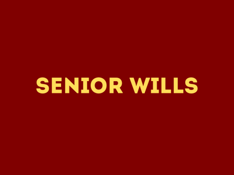 Senior Wills