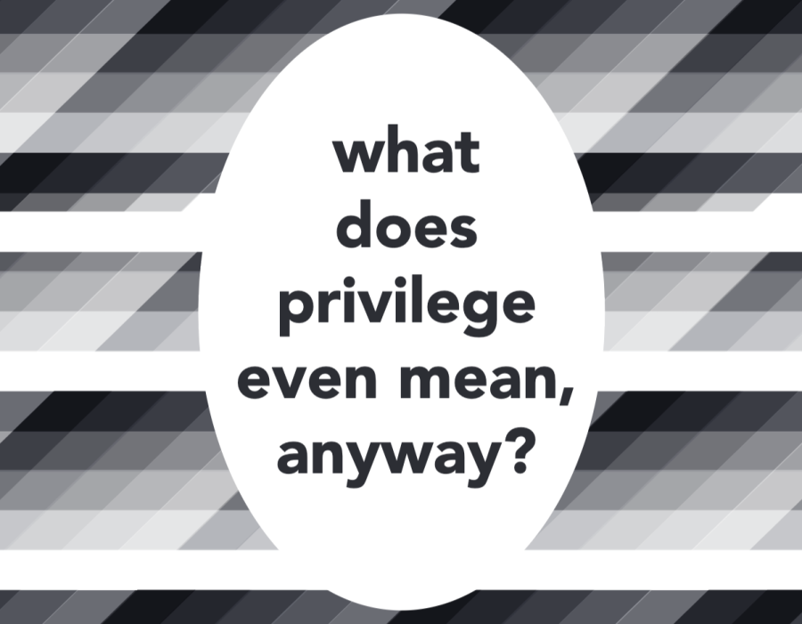 What+does+privilege+even+mean%2C+anyway%3F