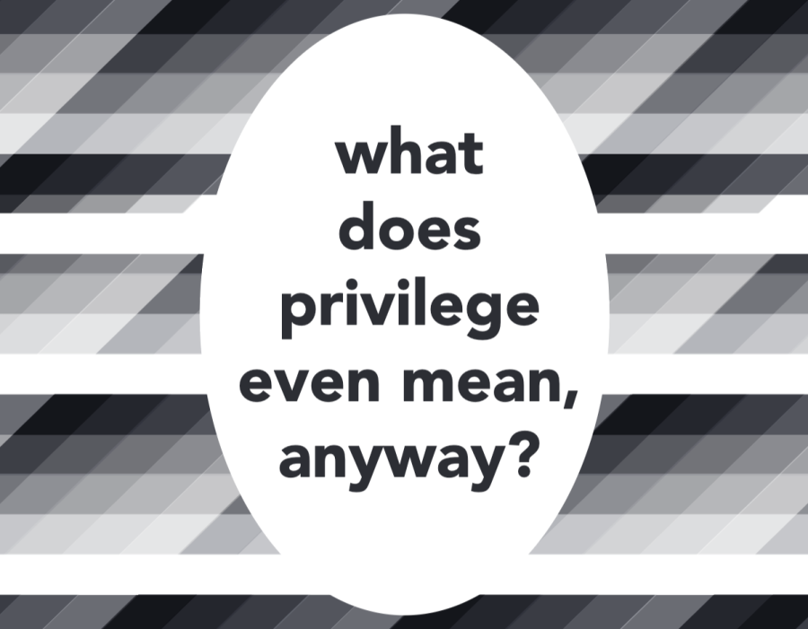 the-lodge-what-does-privilege-even-mean-anyway